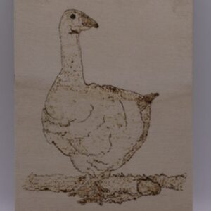 A goose step over a log