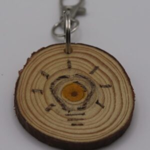 A light bulb on a keyring