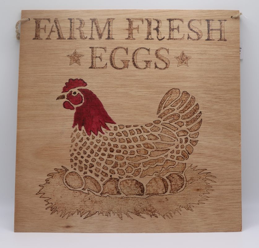 chicken in nest with eggs