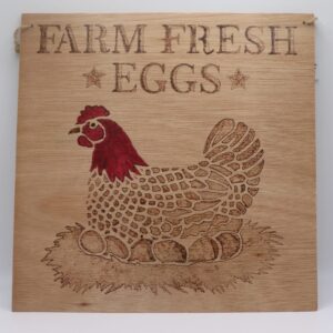 chicken in nest with eggs