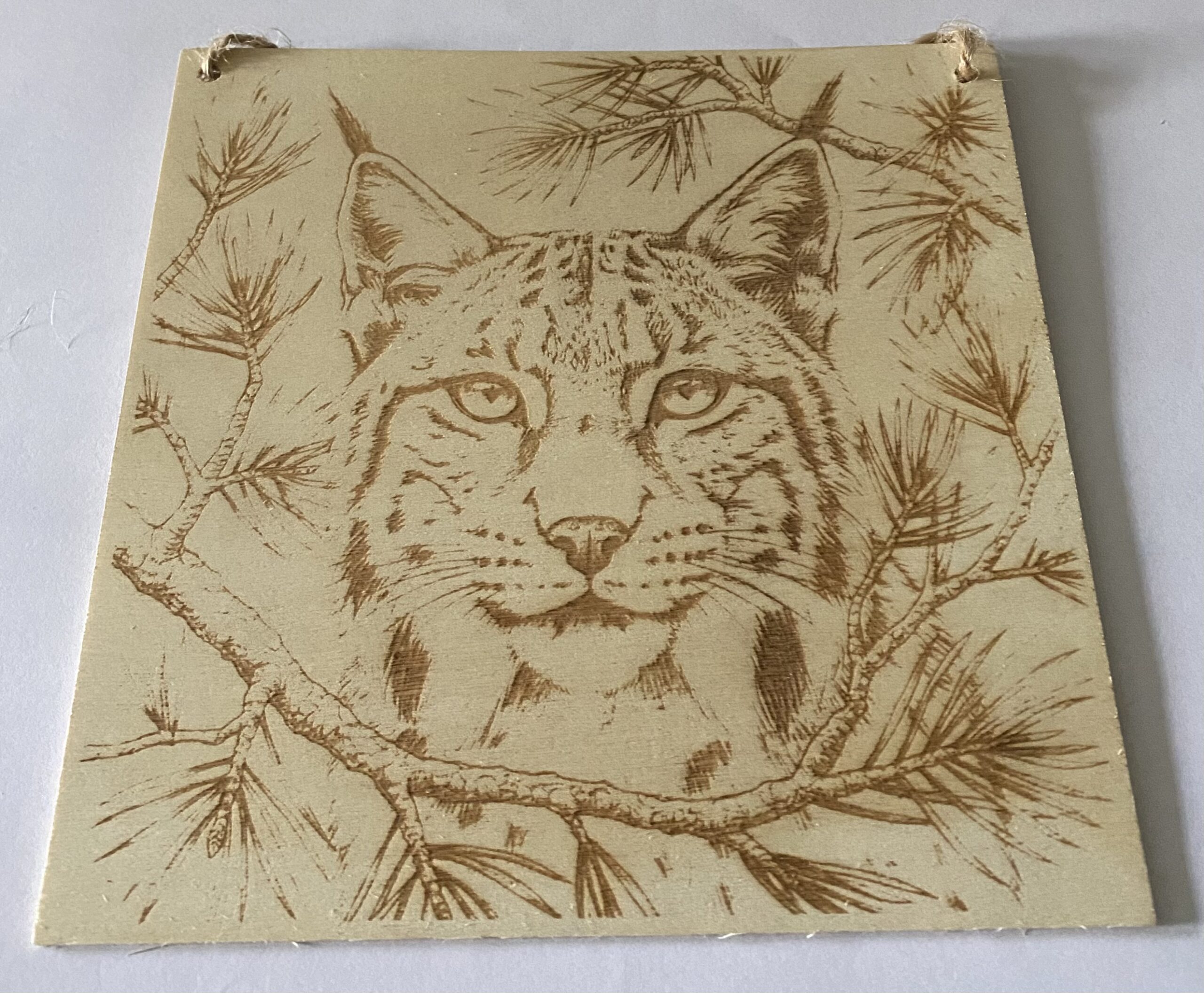 A big cat head on a plaque