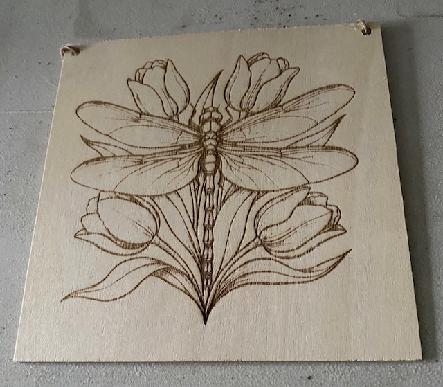 A dragonfly on a flower