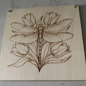 A dragonfly on a flower