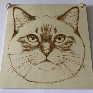 A head of a cat on a plaque