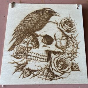 A bird on a skull
