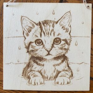 A CAT