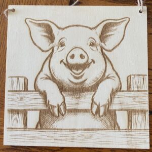 A PIG