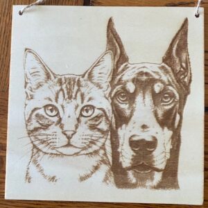 A CAT AND A DOG