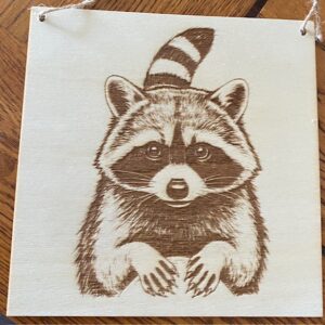 A RACCOON