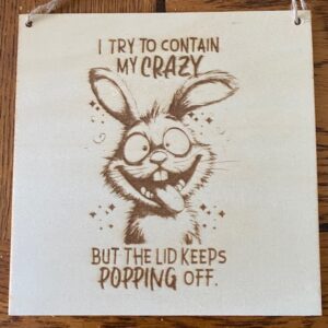 FUNNY PLAQUE