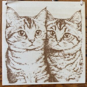 TWO CATS
