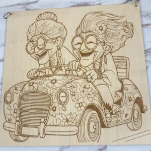 TWO LADIES IN A CAR